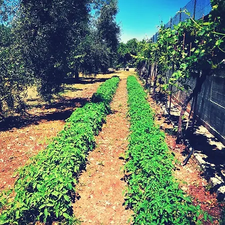 Piana Dei Greci 度假居 佩斯基奇