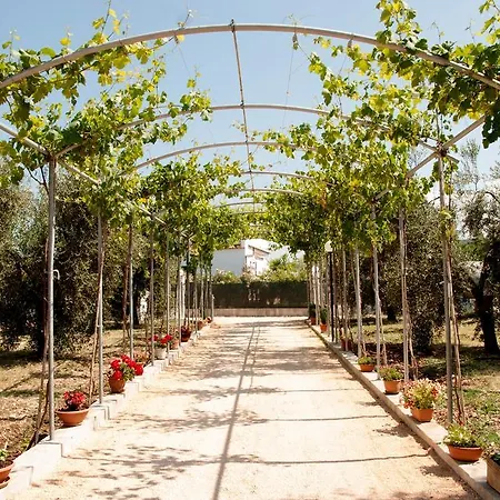 Piana Dei Greci * Peschici