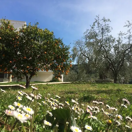Piana Dei Greci Holiday home