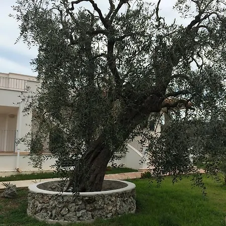 Piana Dei Greci Holiday home *
